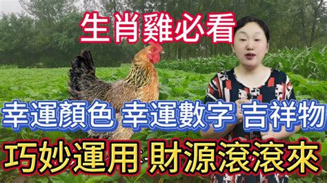 屬雞的幸運數字|運勢爆棚！生肖屬雞者必知的幸運數字、幸運顏色和貴人解析！